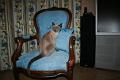 2007-06 Saphir 026